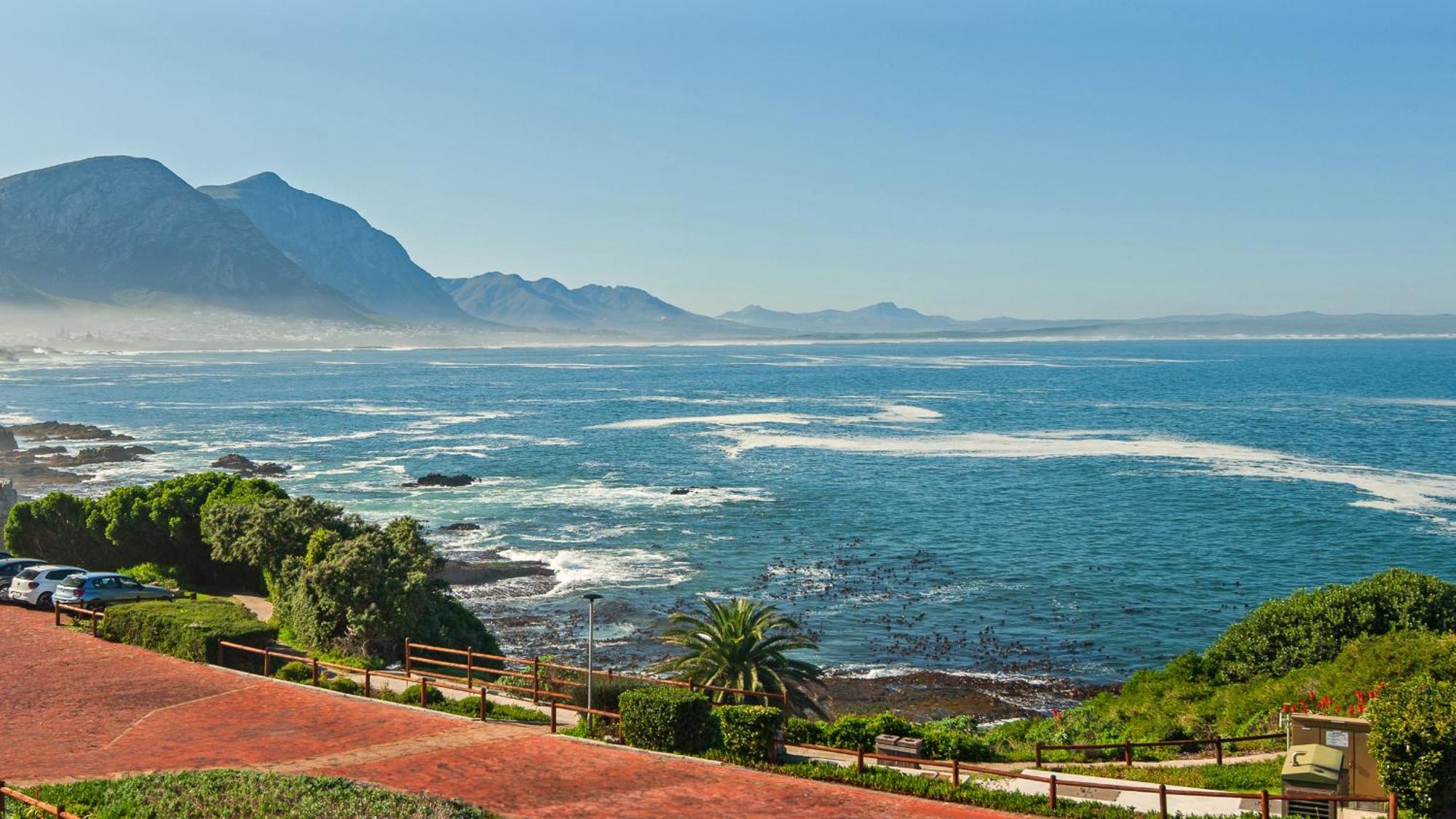 Walker Bay Luxury Seafront Apartment Hermanus Dış mekan fotoğraf